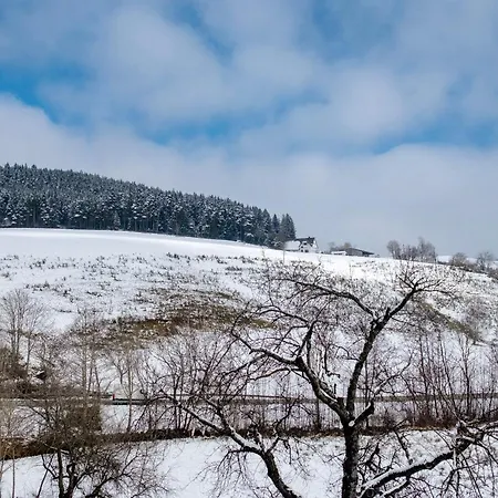 Gaestehaus Krone 3* Sankt Georgen im Schwarzwald