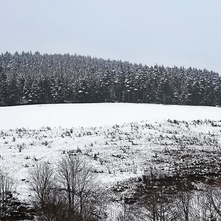 Gaestehaus Krone Affittacamere 3*