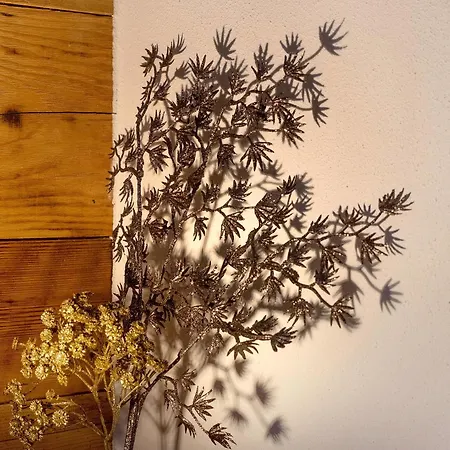 Gaestehaus Krone 게스트하우스 장크트 게오르겐 임 슈바르츠발트