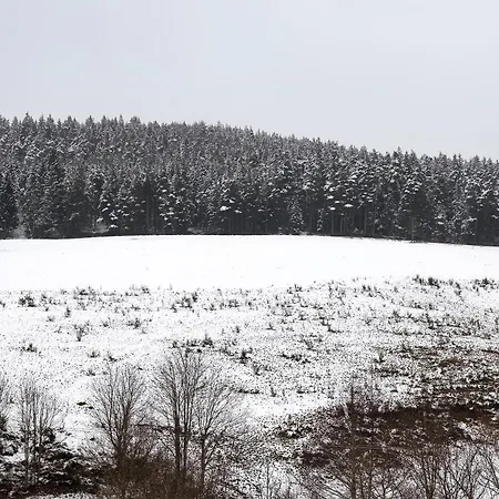 Affittacamere Gaestehaus Krone