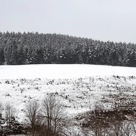 Gaestehaus Krone 3* St. Georgen im Schwarzwald