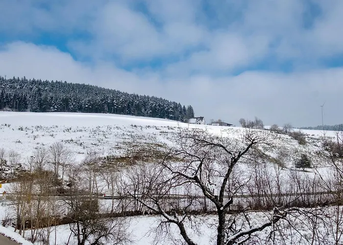 Gaestehaus Krone 3* Sankt Georgen im Schwarzwald