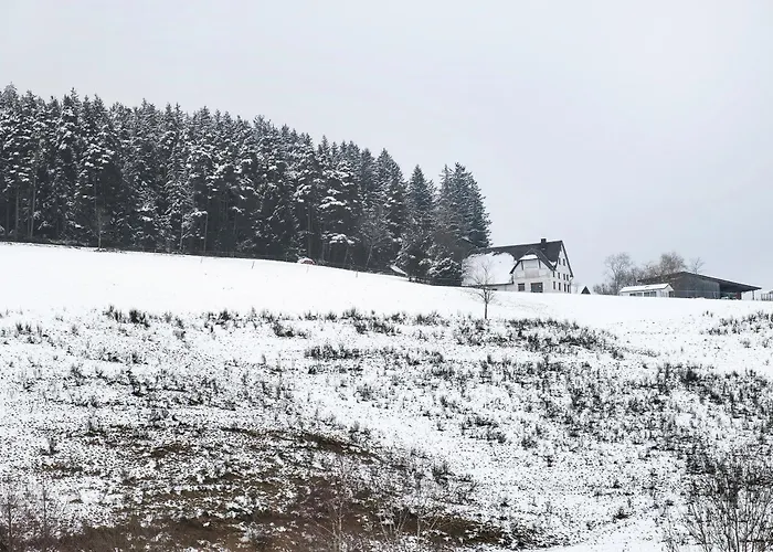 Gaestehaus Krone Pensjonat