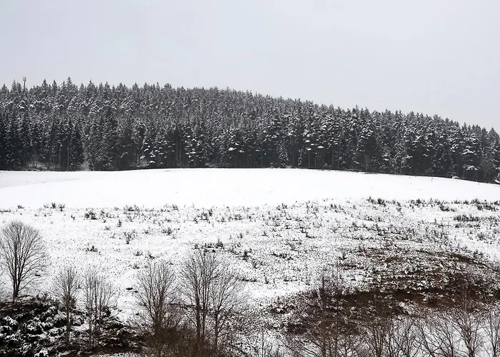 Pensjonat Gaestehaus Krone
